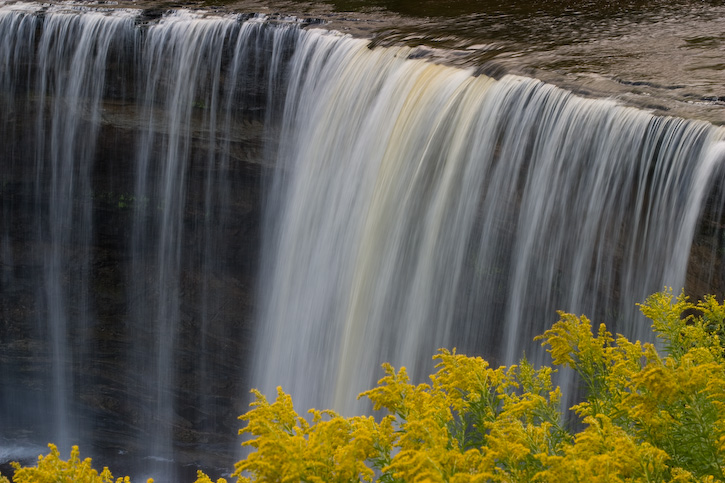 Goldenrod and Waterfall