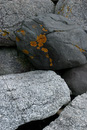 Maine Rocks and Lichen