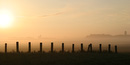 Farm Misty Sunrise